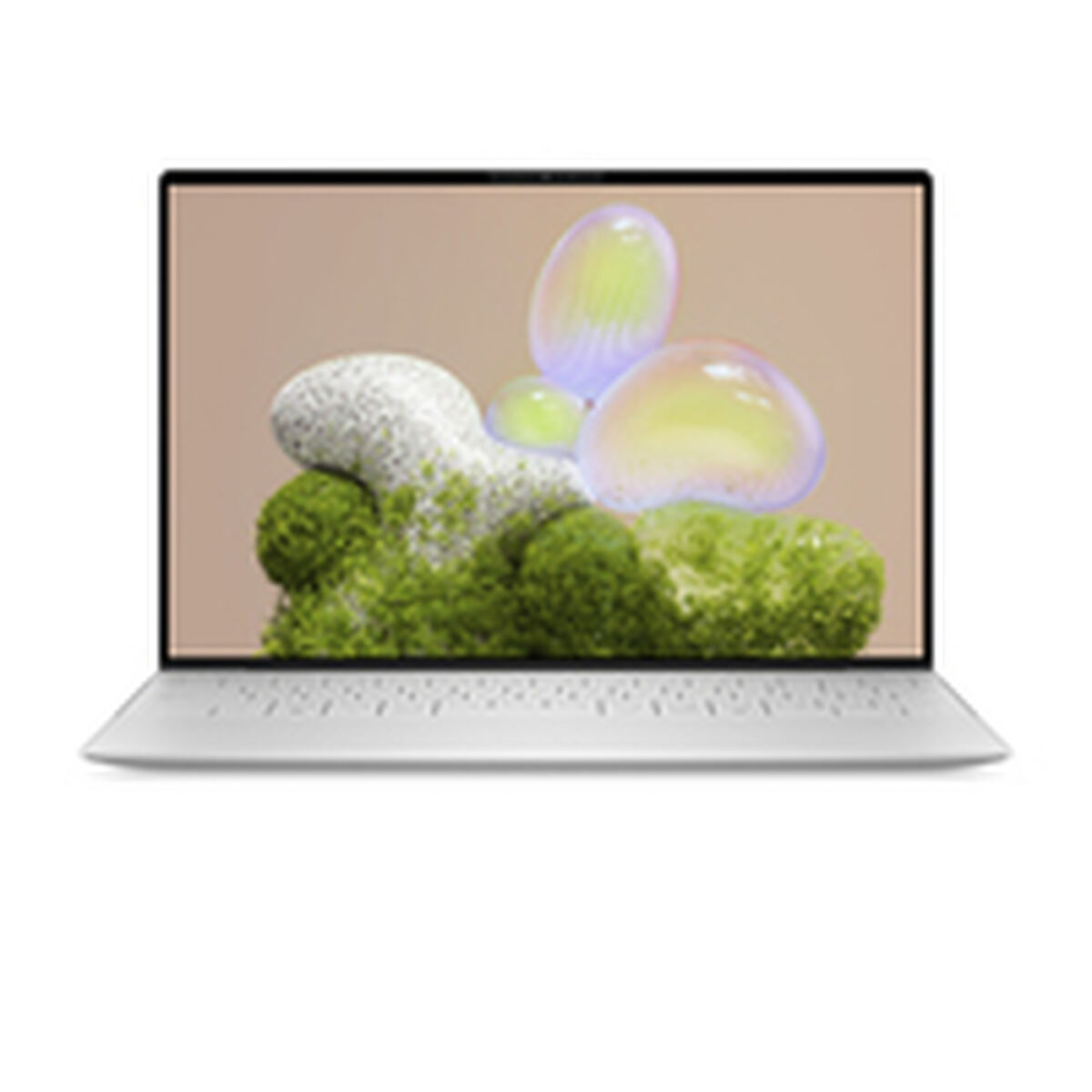 Laptop Dell FMDDY