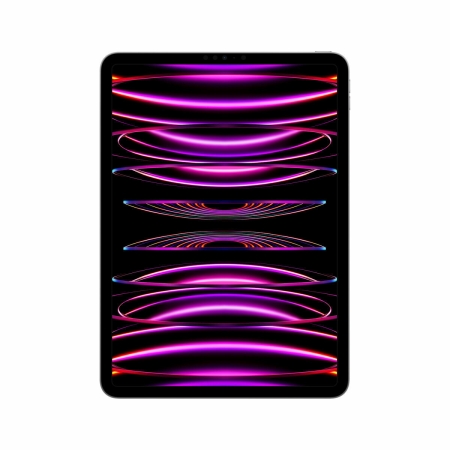 Tablet Apple iPad Pro M2 16 GB RAM 1 TB Grijs