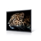 Videowall Monitor Maxhub C7530 4K Ultra HD 75"